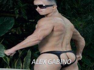 ALEX_GABINO