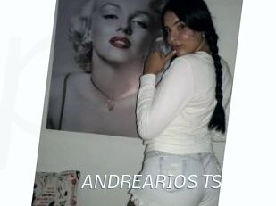 ANDREARIOS_TS