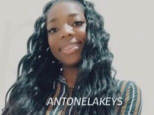 ANTONELAKEYS