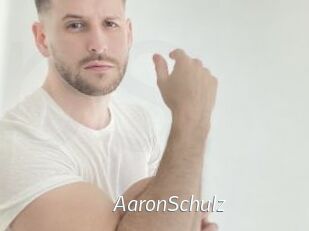AaronSchulz