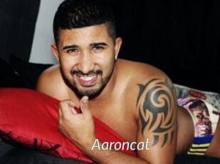 Aaroncat