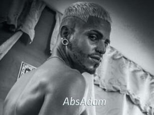 AbsAdam