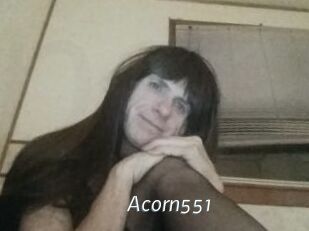 Acorn551