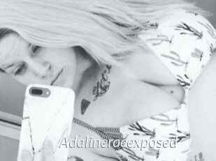 Adalinerae_exposed