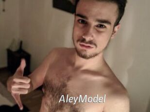 AleyModel