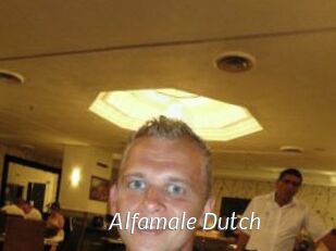 Alfamale_Dutch