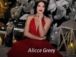 Alicce_Greey