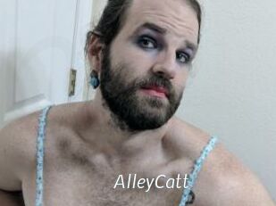 AlleyCatt