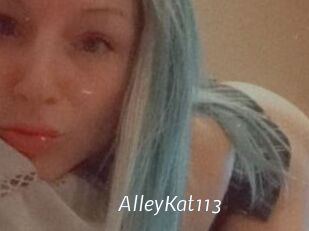 AlleyKat113