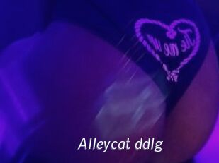 Alleycat_ddlg