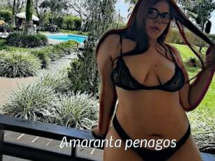 Amaranta_penagos