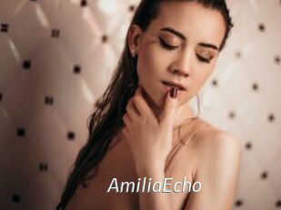AmiliaEcho