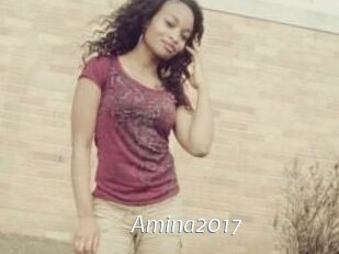 Amina2017