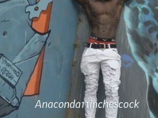 Anaconda11inchescock