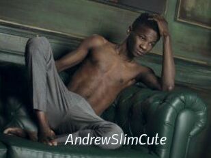 AndrewSlimCute