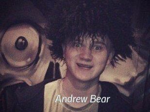 Andrew_Bear