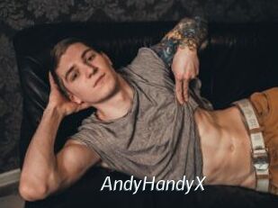 AndyHandyX