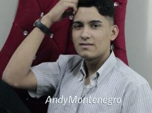 AndyMontenegro