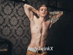 AndyTwinkX