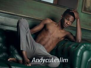 Andycuteslim