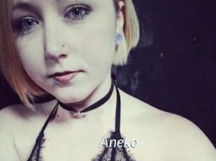 Aneko