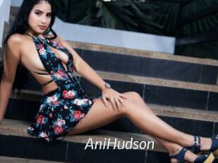 AniHudson