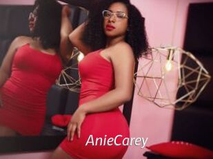 AnieCarey