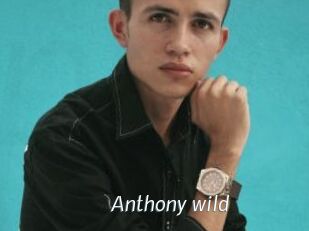 Anthony_wild