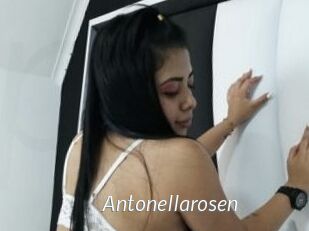 Antonellarosen