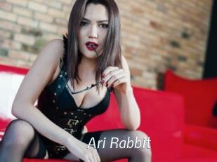 Ari_Rabbit