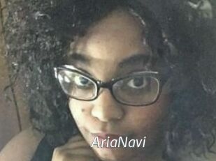 AriaNavi