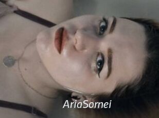 AriaSornei