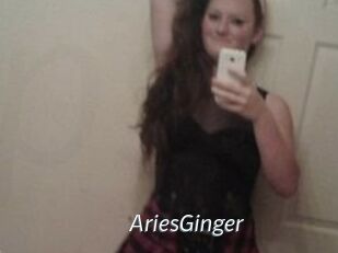 AriesGinger