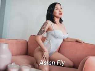 Asian_Fly