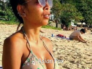 Asian_Fox