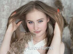 AuroraTurnel