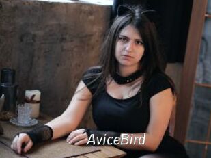 AviceBird