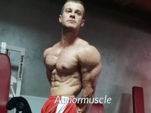 Aanormuscle