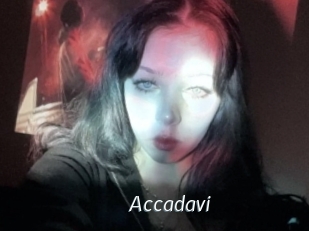 Accadavi