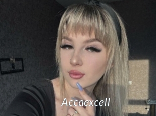 Accaexcell