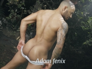 Adam_fenix