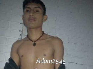adam2545 Porn Star