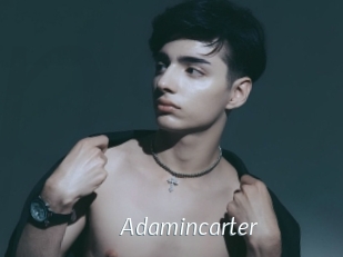 adamincarter Porn Star