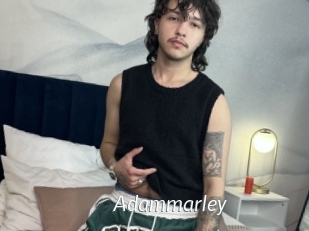 Adammarley