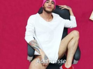 Adamrosse