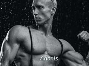 Adonis