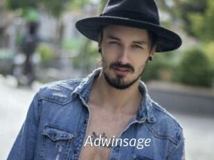 Adwinsage
