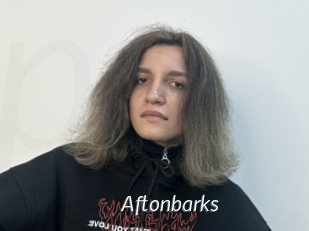 Aftonbarks