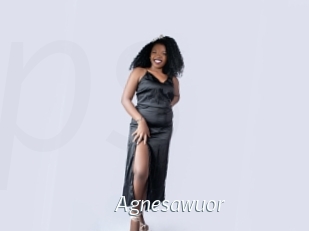 Agnesawuor