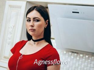 Agnessflower